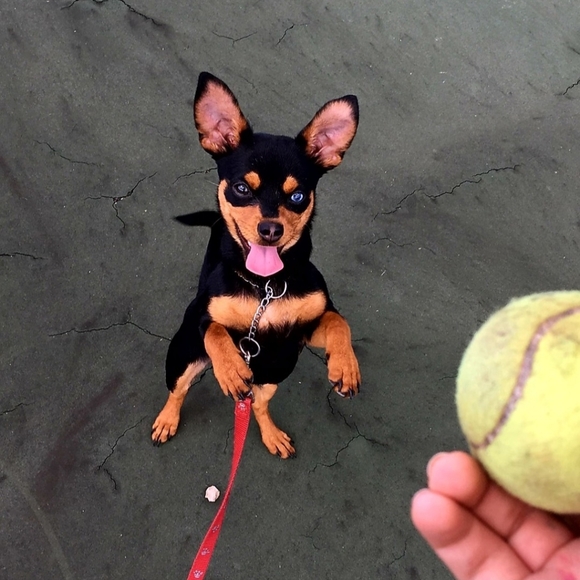 Let's Go 2025🥳 - Picture 1 of 7